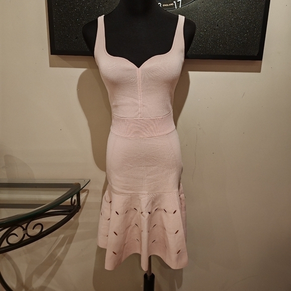 Ted Baker Women's Full Needle Stitch Detailed Hem Mini Dress in Pink, Ambyr-0230 - Picture 10 of 14